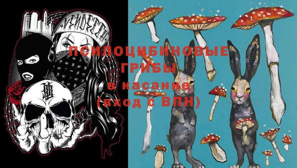 мдпв Семилуки