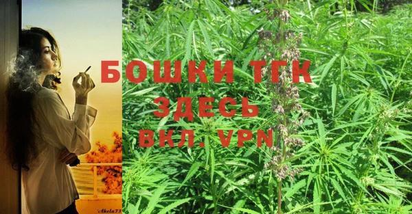 мдпв Семилуки